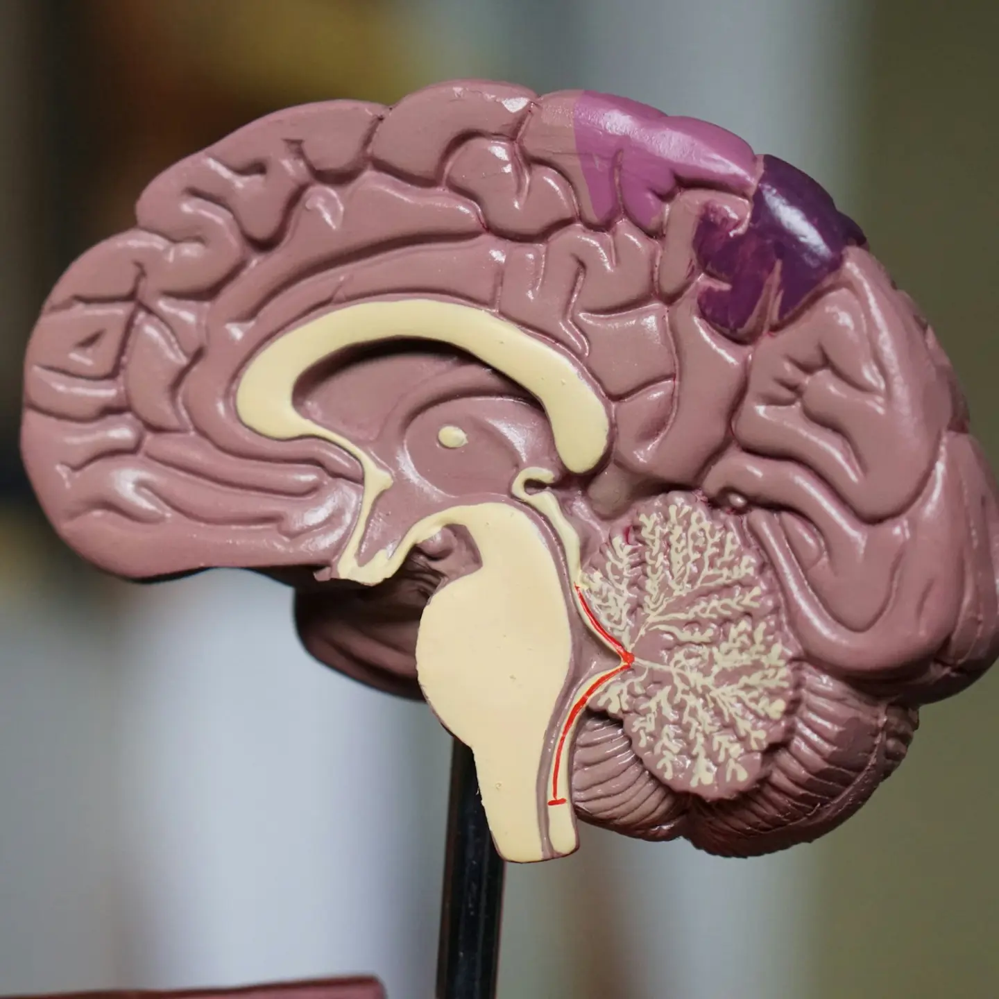 Publications in immuno-psychiatry