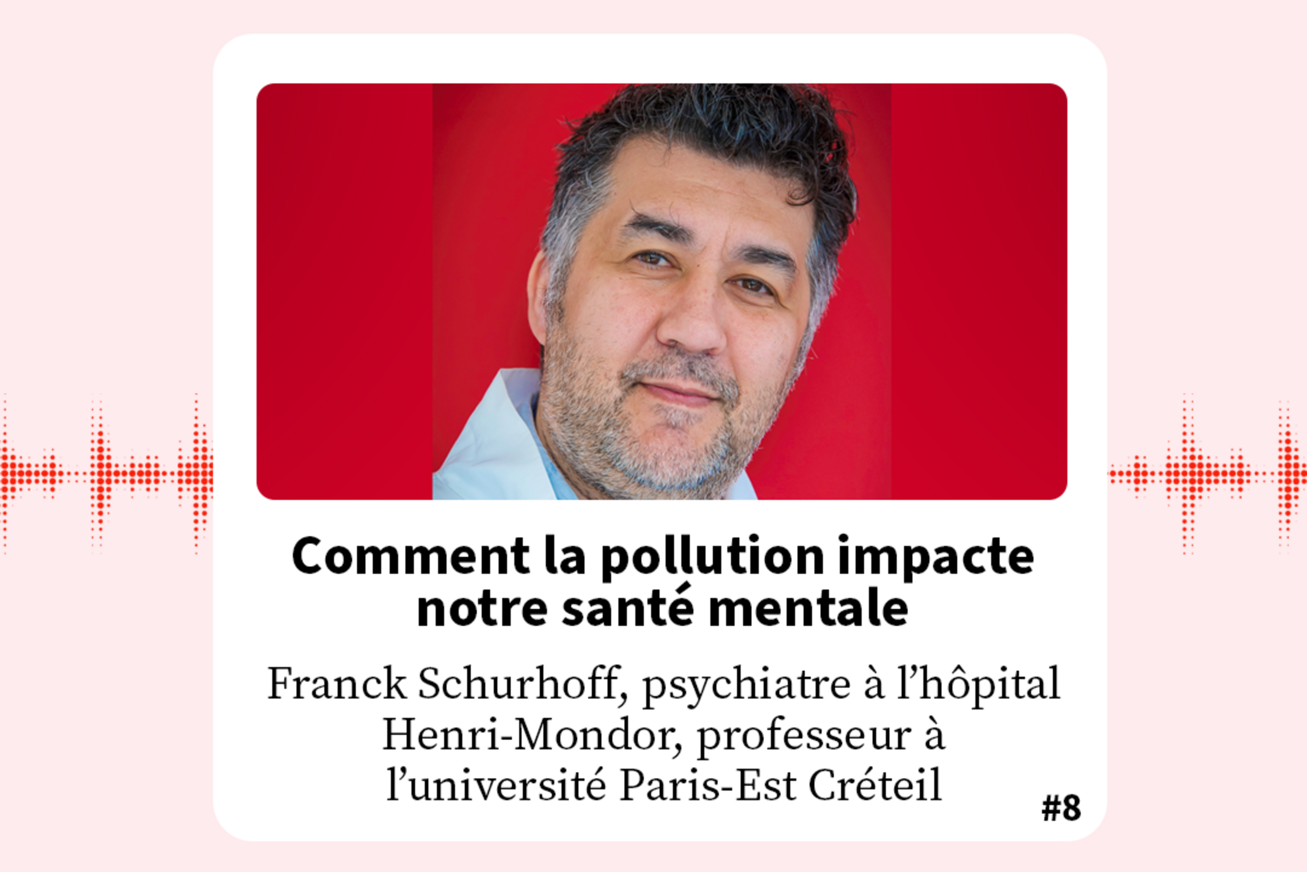 FondaMental Talk - Podcast Pr Franck Schurhoff : Comment la pollution impacte notre santé mentale.