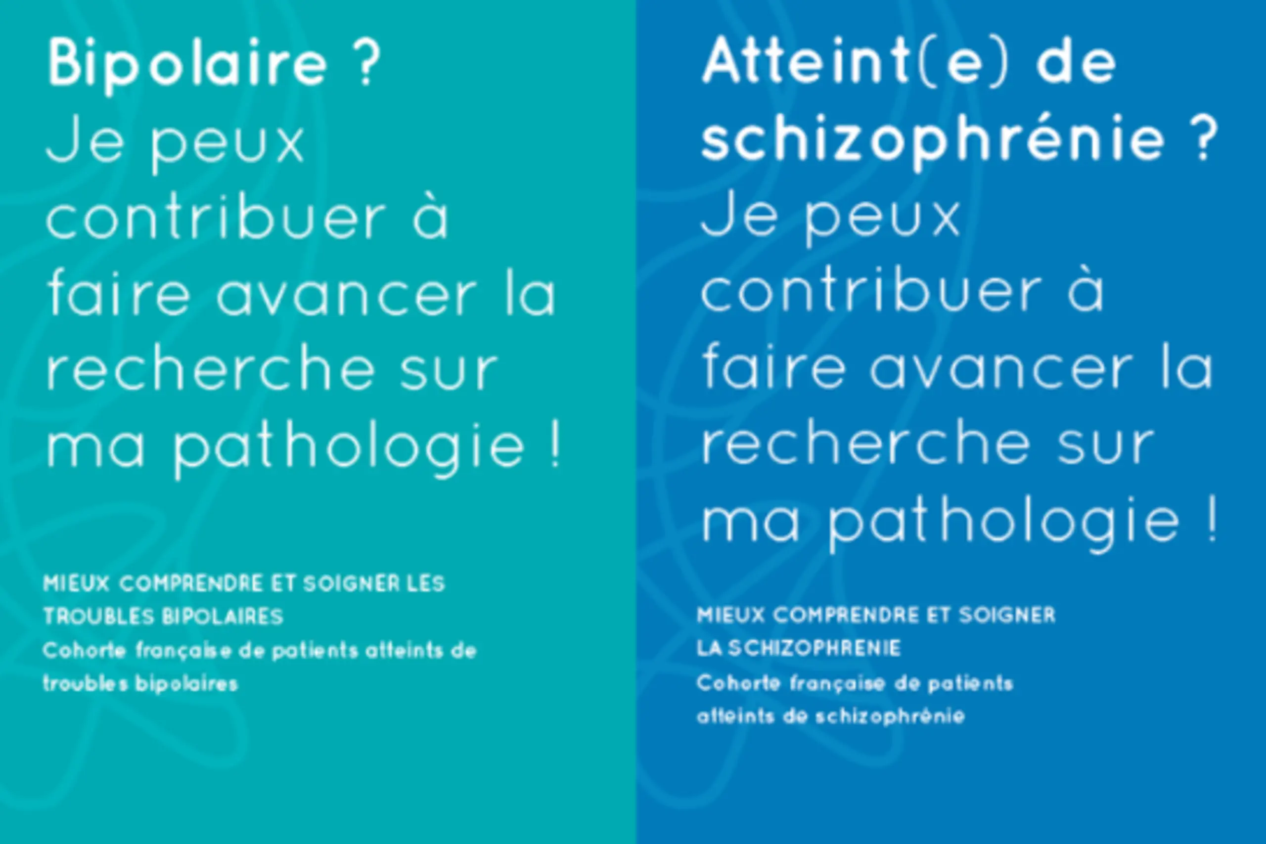 texte alternatif