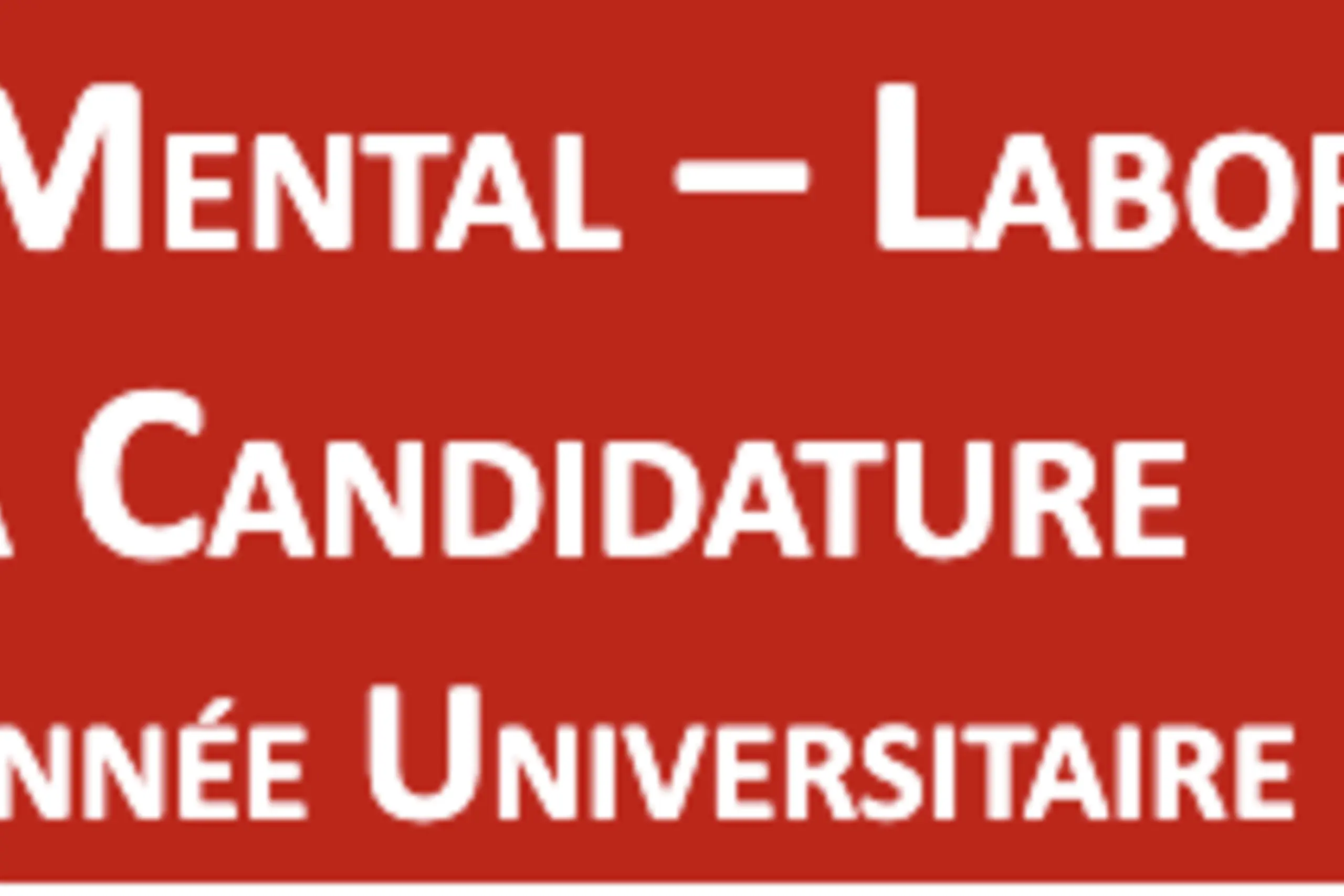 texte alternatif