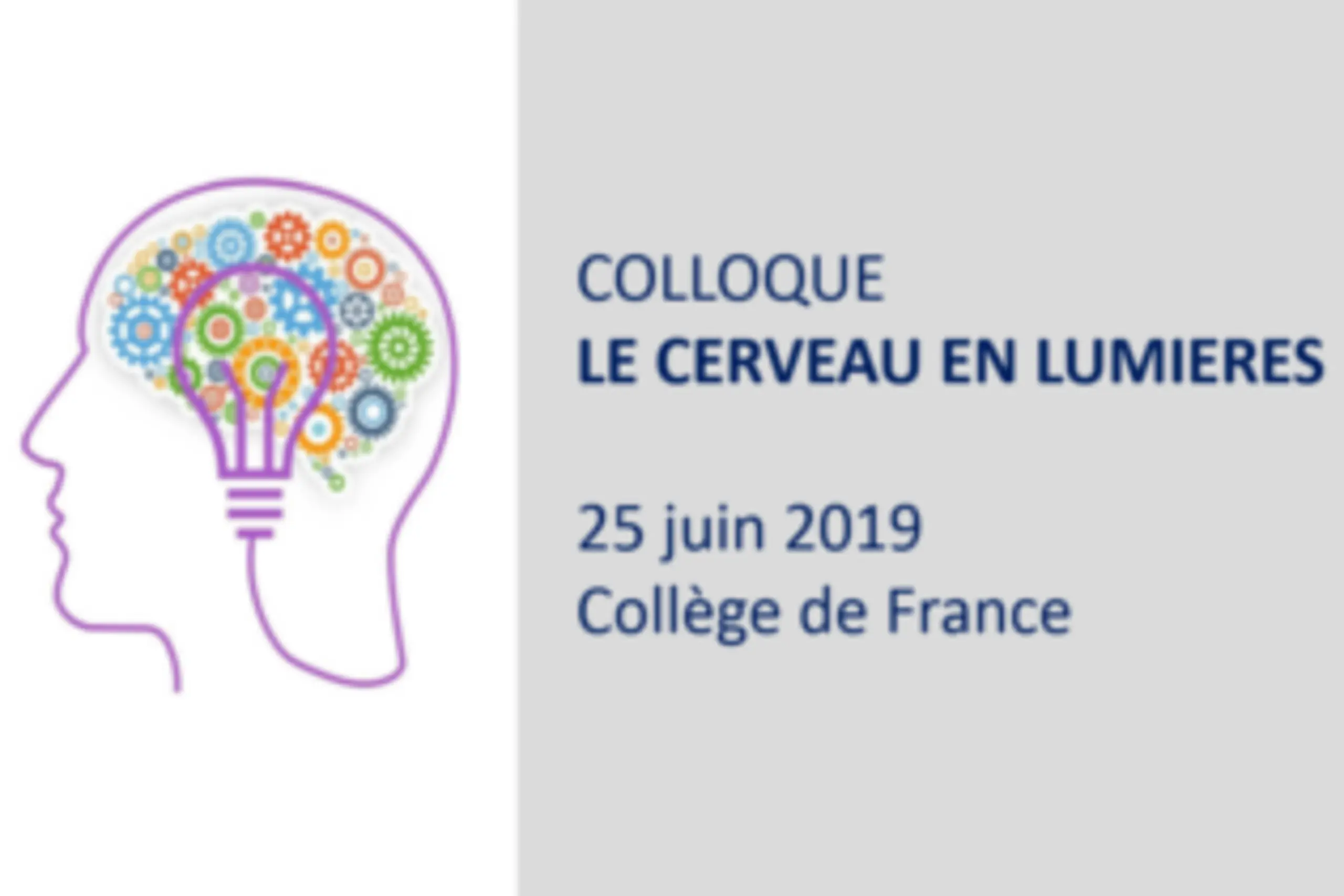 texte alternatif