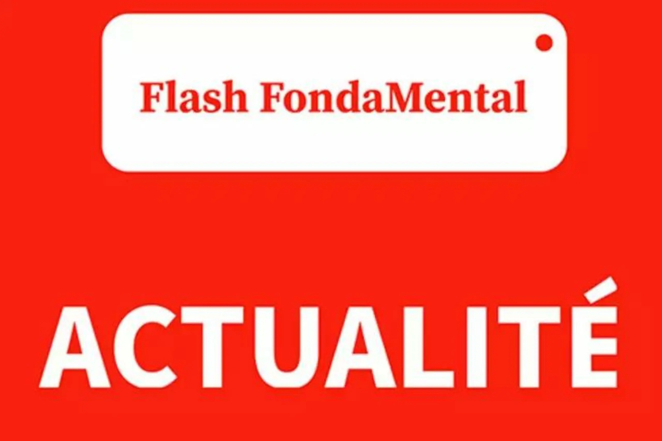 Flash FondaMental du 20 décembre 2024 Flash FondaMental du 20 décembre 2024