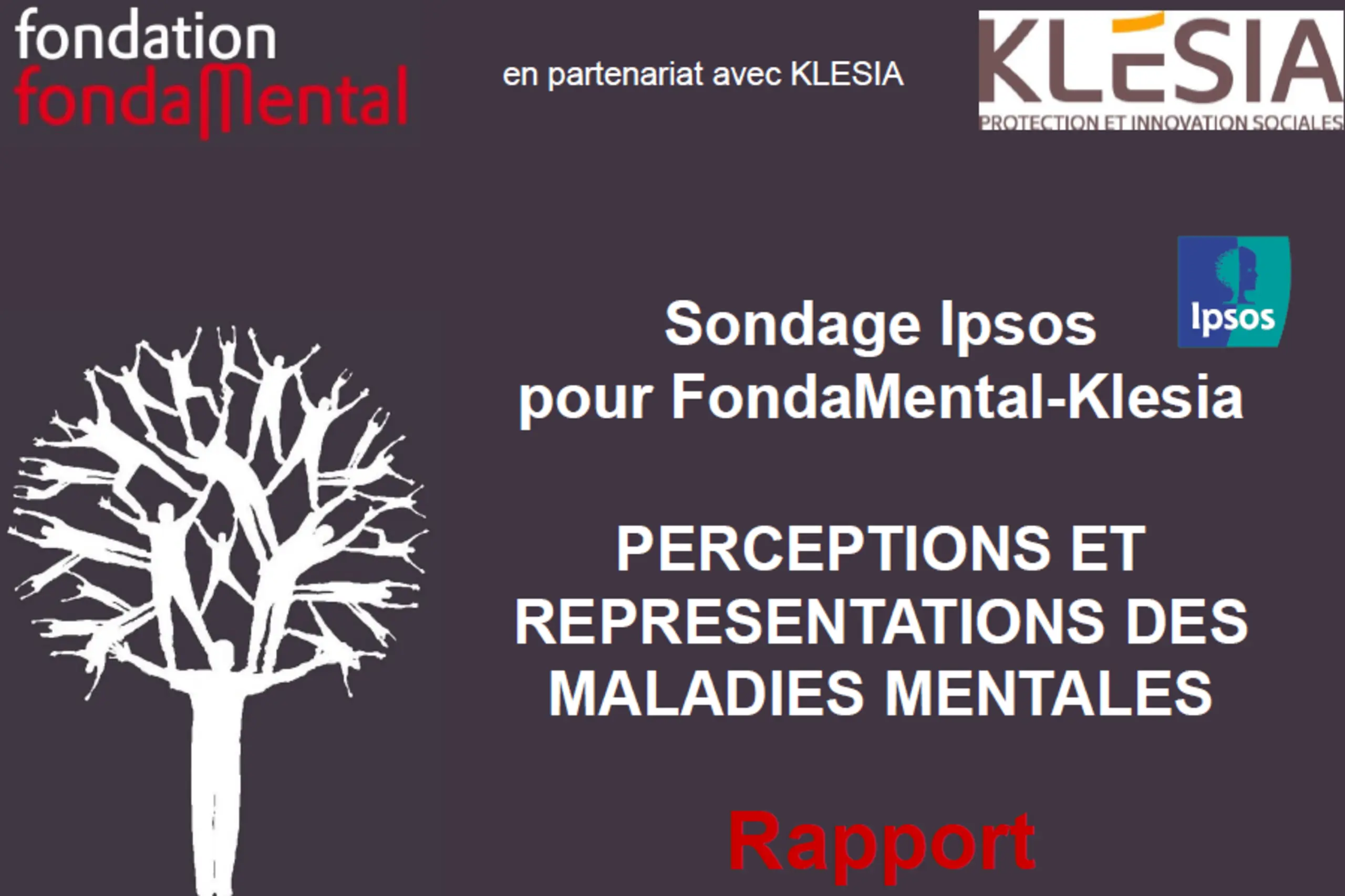 texte alternatif