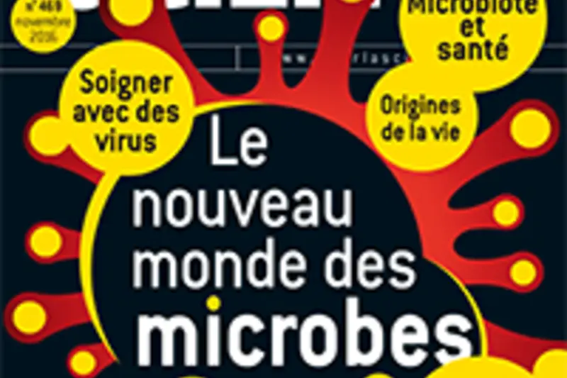 texte alternatif