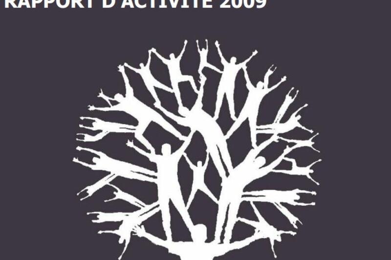 Rapport d'Activité FondaMental 2009