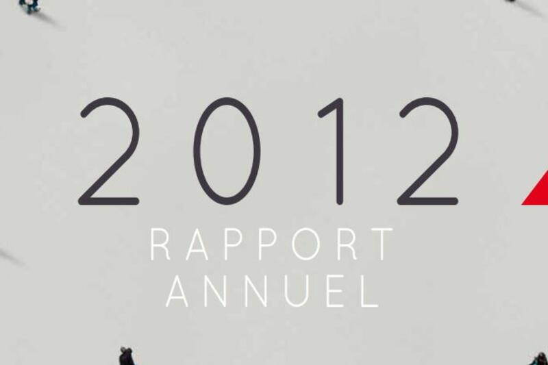 Rapport d'Activité FondaMental 2012