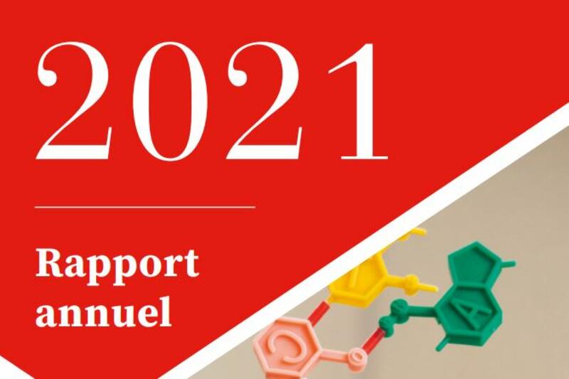 Rapport d'Activité FondaMental 2021