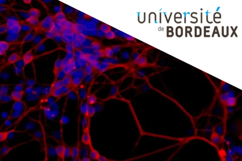 Bordeaux Summer School 2022