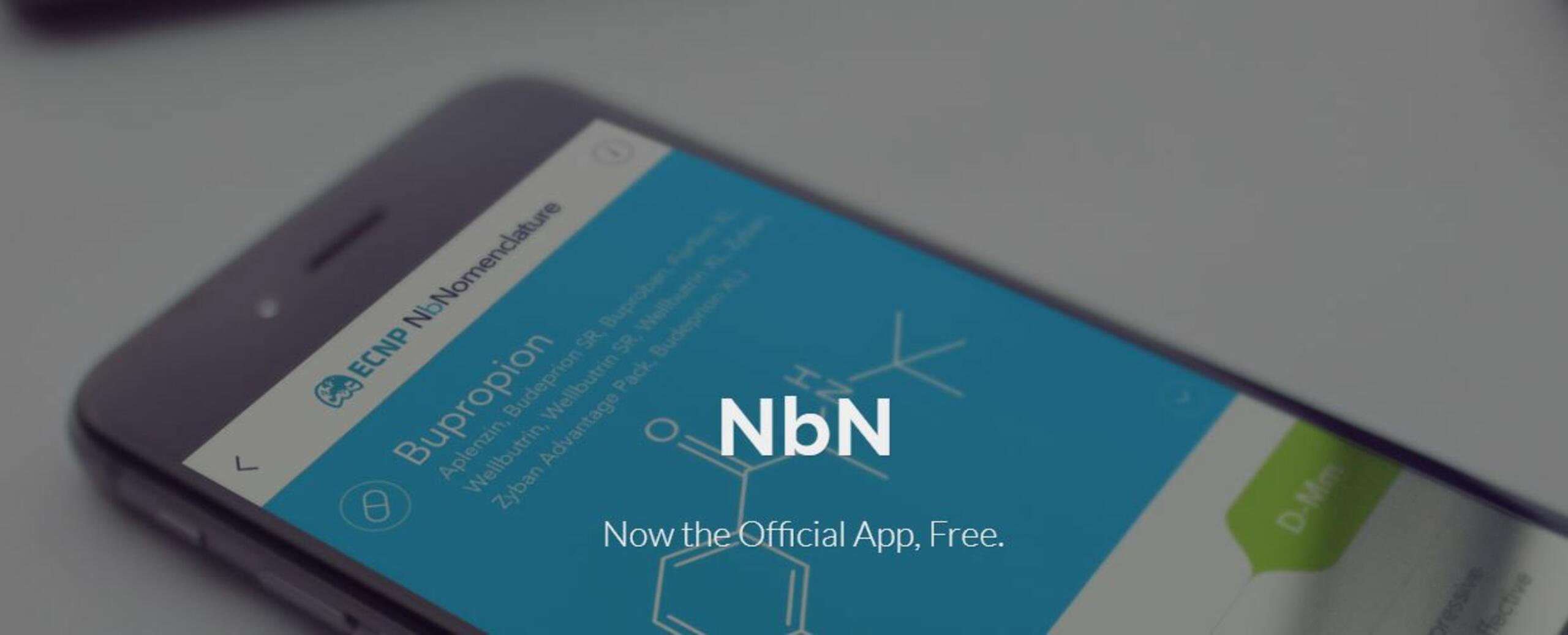 Capture d'écran page web NBN